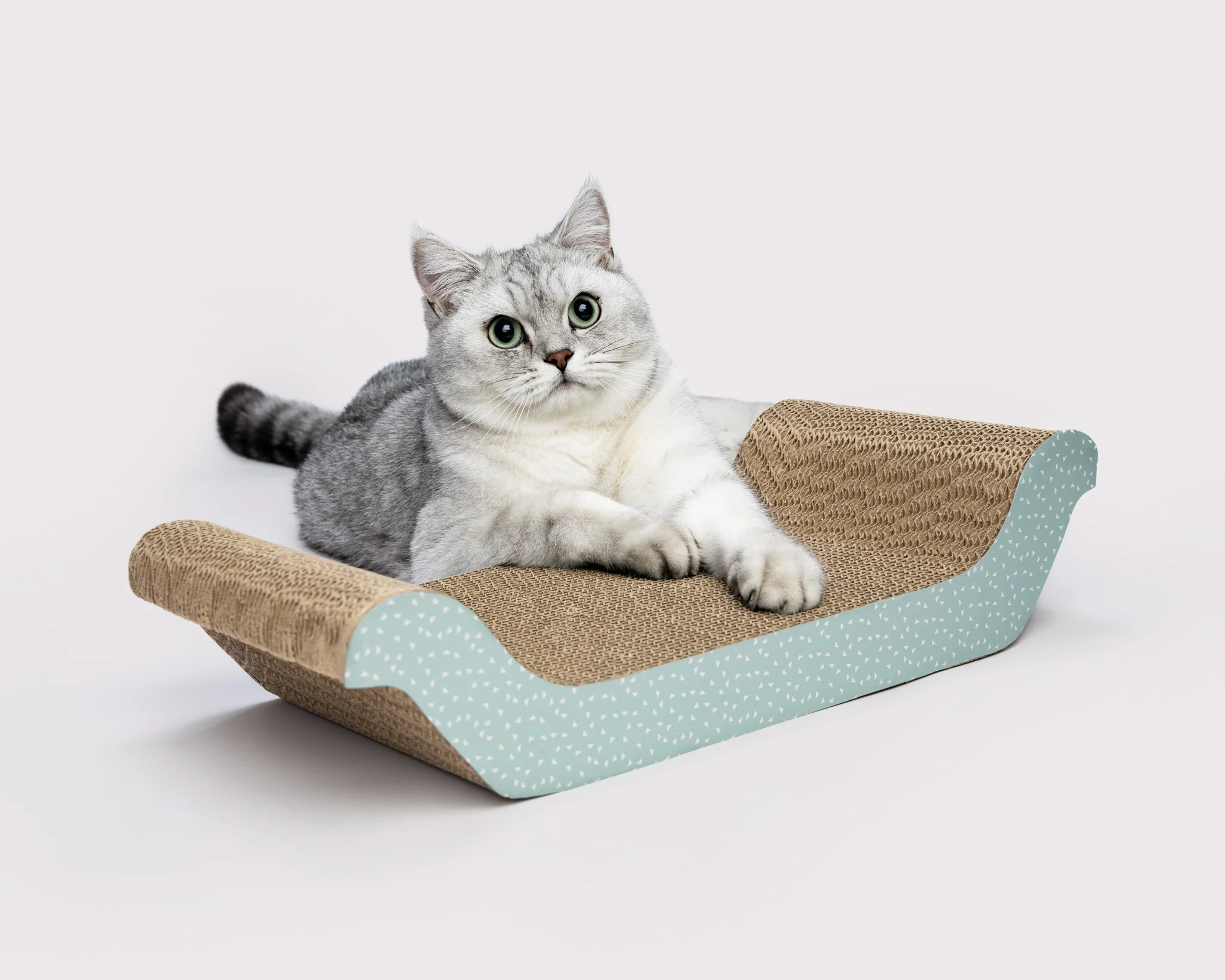 A grey cat lying on a patterned cardboard scratching post.